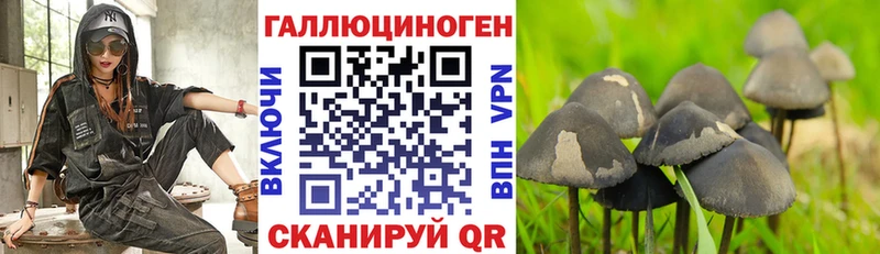 нарко площадка какой сайт  наркошоп  Белинский  Галлюциногенные грибы Cubensis 